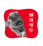 猫のベンの日常生活4（個別スタンプ：12）