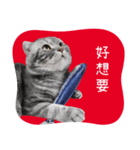 猫のベンの日常生活4（個別スタンプ：13）