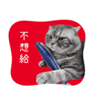猫のベンの日常生活4（個別スタンプ：15）