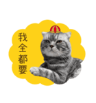 猫のベンの日常生活4（個別スタンプ：16）