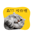 猫のベンの日常生活4（個別スタンプ：17）