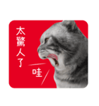 猫のベンの日常生活4（個別スタンプ：20）