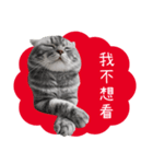 猫のベンの日常生活4（個別スタンプ：21）