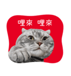 猫のベンの日常生活4（個別スタンプ：23）