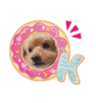 犬  スタンプ（個別スタンプ：6）