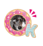 犬  スタンプ（個別スタンプ：7）
