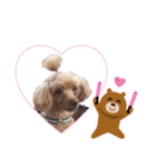 犬  スタンプ（個別スタンプ：8）