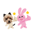 犬  スタンプ（個別スタンプ：10）
