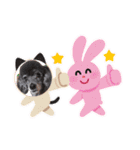 犬  スタンプ（個別スタンプ：11）