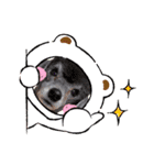 犬  スタンプ（個別スタンプ：15）
