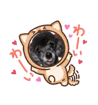 犬  スタンプ（個別スタンプ：19）