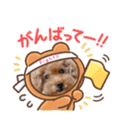 犬  スタンプ（個別スタンプ：20）