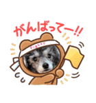 犬  スタンプ（個別スタンプ：21）