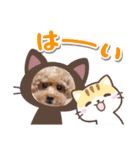 犬  スタンプ（個別スタンプ：24）
