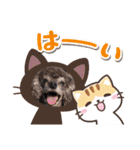 犬  スタンプ（個別スタンプ：25）