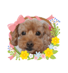犬  スタンプ（個別スタンプ：26）