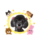 犬  スタンプ（個別スタンプ：27）
