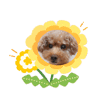 犬  スタンプ（個別スタンプ：28）