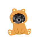 犬  スタンプ（個別スタンプ：29）
