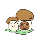 犬  スタンプ（個別スタンプ：31）