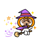 犬  スタンプ（個別スタンプ：36）