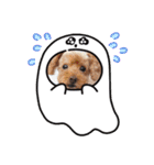 犬  スタンプ（個別スタンプ：38）