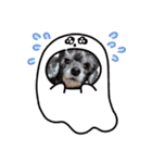 犬  スタンプ（個別スタンプ：39）