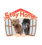 犬  スタンプ（個別スタンプ：40）
