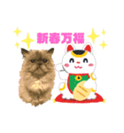 もちもちふぁみりーのお正月3（個別スタンプ：11）