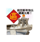 もちもちふぁみりーのお正月3（個別スタンプ：16）