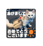 井戸中ちくわスタンプ3（個別スタンプ：1）