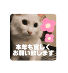 井戸中ちくわスタンプ3（個別スタンプ：10）