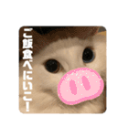 井戸中ちくわスタンプ3（個別スタンプ：18）