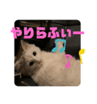 井戸中ちくわスタンプ3（個別スタンプ：33）