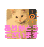 井戸中ちくわスタンプ3（個別スタンプ：38）