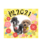犬 スタンプ・お正月（個別スタンプ：1）