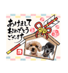 犬 スタンプ・お正月（個別スタンプ：4）