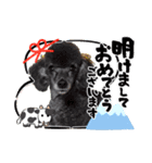 犬 スタンプ・お正月（個別スタンプ：7）