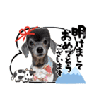 犬 スタンプ・お正月（個別スタンプ：8）