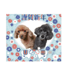 犬 スタンプ・お正月（個別スタンプ：9）