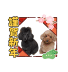 犬 スタンプ・お正月（個別スタンプ：10）