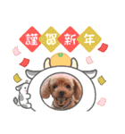犬 スタンプ・お正月（個別スタンプ：11）