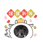 犬 スタンプ・お正月（個別スタンプ：12）