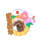 犬 スタンプ・お正月（個別スタンプ：13）
