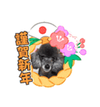 犬 スタンプ・お正月（個別スタンプ：14）