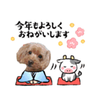 犬 スタンプ・お正月（個別スタンプ：15）
