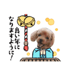 犬 スタンプ・お正月（個別スタンプ：21）