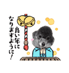 犬 スタンプ・お正月（個別スタンプ：22）