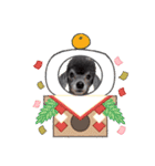 犬 スタンプ・お正月（個別スタンプ：24）