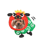 犬 スタンプ・お正月（個別スタンプ：25）